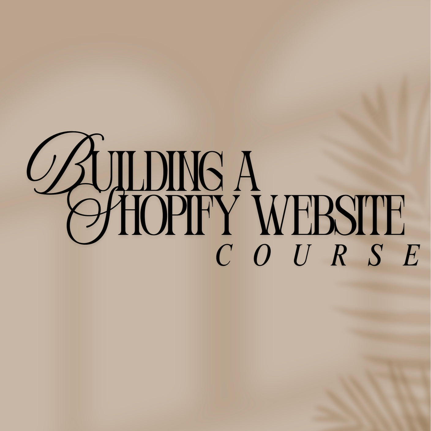 Building A Successful Shopify Website